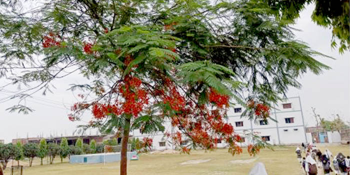 Slideshow Image 8